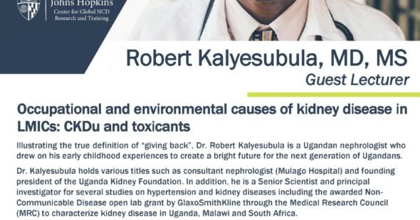 Occupational and environmental causes of kidney diseases in LMICs: CKDu and toxicants